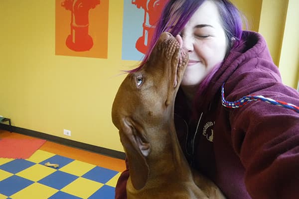 Dog kissing staff member